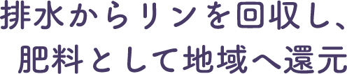 排水からリンを回収し、肥料として地域へ還元